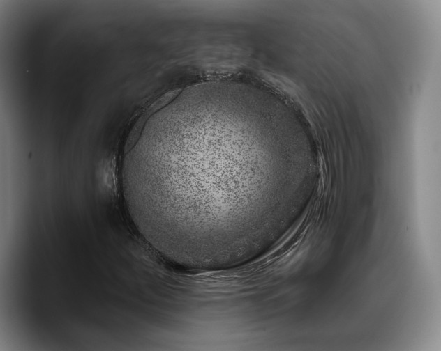 X0000090721252200707201341