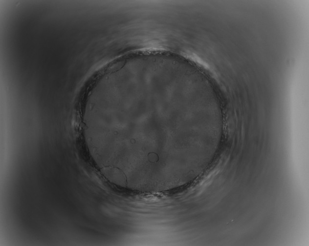 X0000090721255200707201341