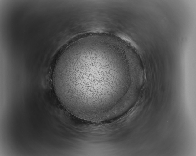 X0000090721256200707201341