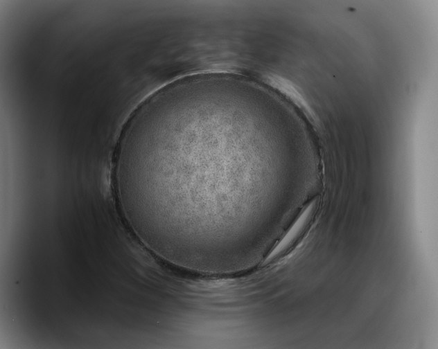 X0000090721260200707201341