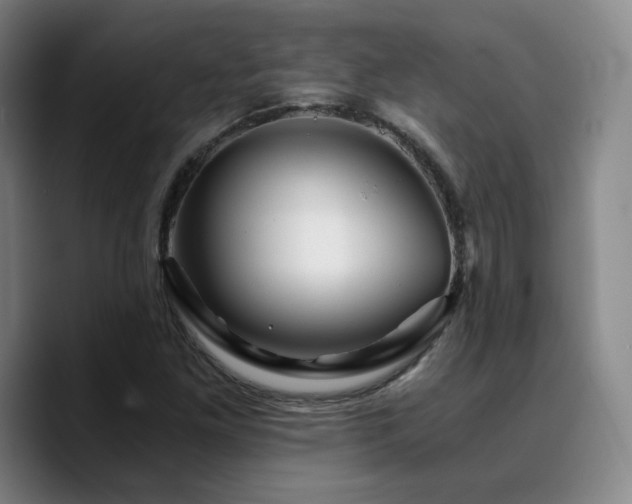 X0000090721261200707201341