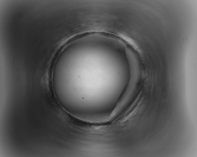 X0000090721264200707201341