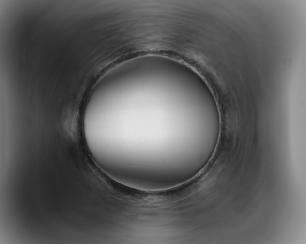 X0000090721265200707201341