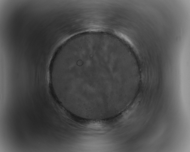 X0000090721267200707201341