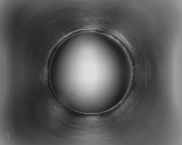 X0000090721268200707201341