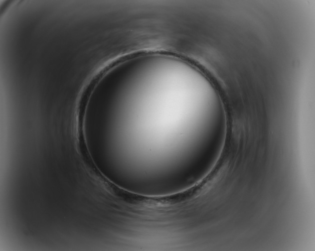 X0000090721270200707201341