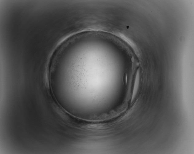X0000090721272200707201341