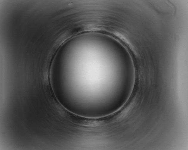 X0000090721273200707201341