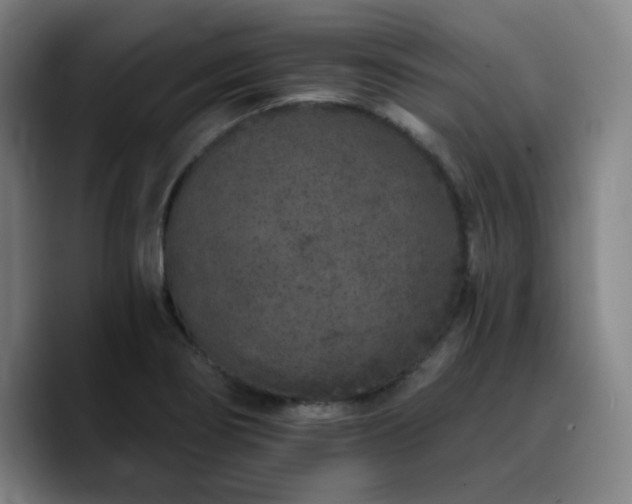 X0000090721274200707201341