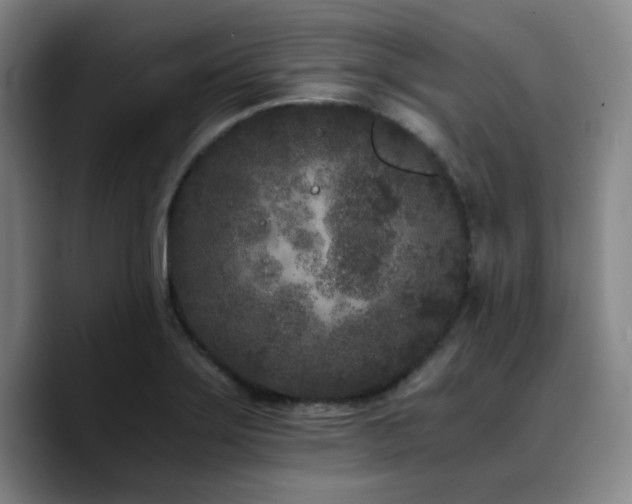 X0000090721275200707201340
