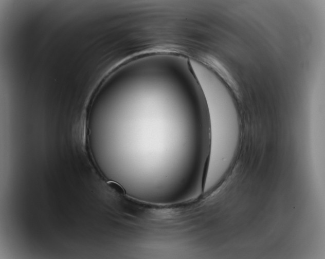 X0000090721276200707201340