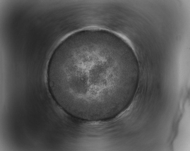 X0000090721279200707201340