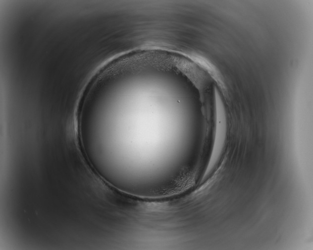 X0000090721280200707201340