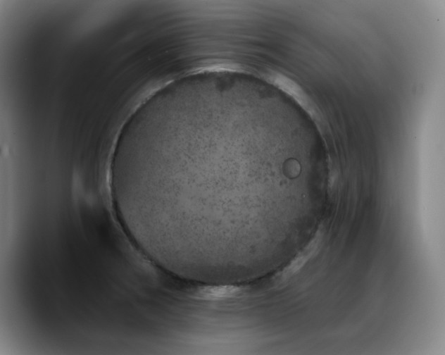 X0000090721282200707201340