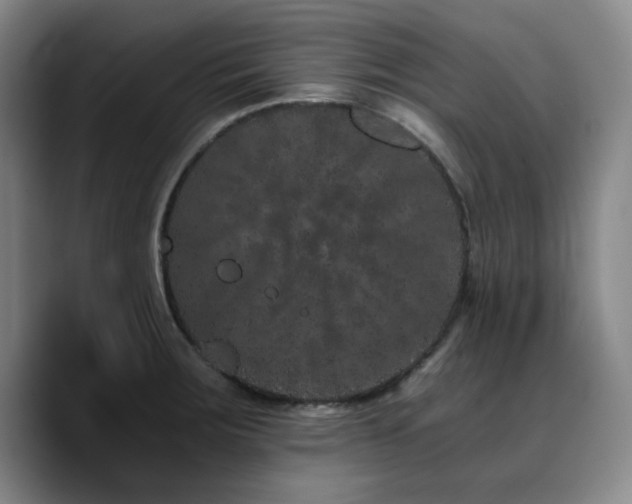 X0000090721283200707201340