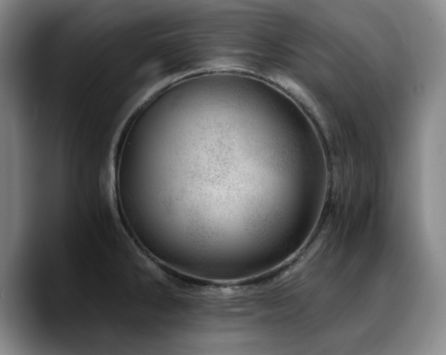 X0000090721286200707201340