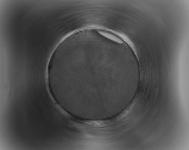 X0000090721287200707201340