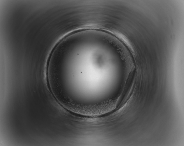X0000090721288200707201340