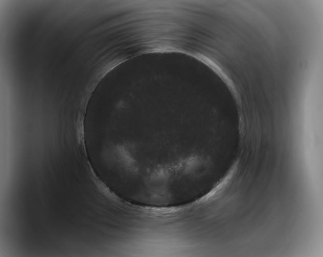 X0000090721289200707201340