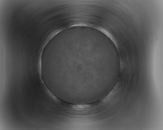 X0000090721290200707201340