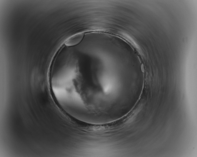 X0000090721291200707201340