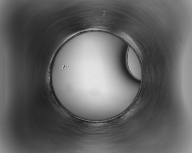 X0000090721292200707201340