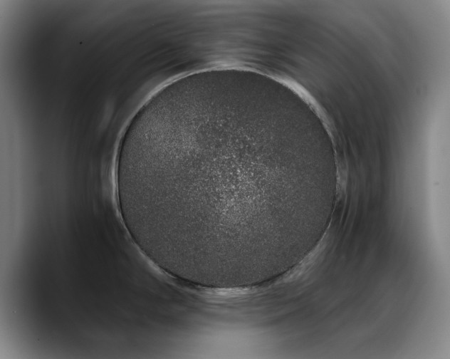 X0000090721294200707201340