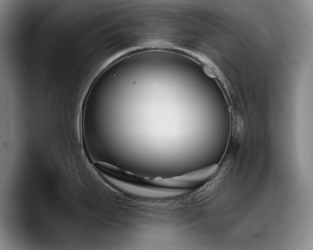 X0000090721295200707201340