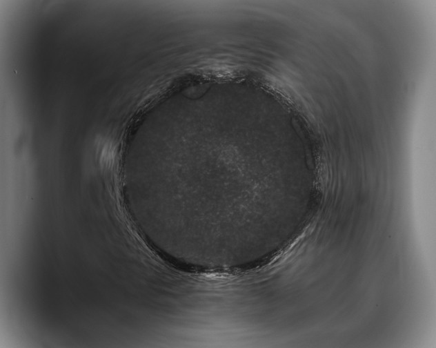 X0000090721297200707201339