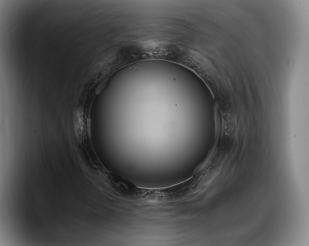 X0000090721298200707201339