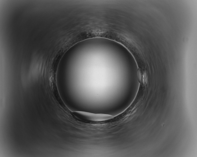 X0000090721299200707201339