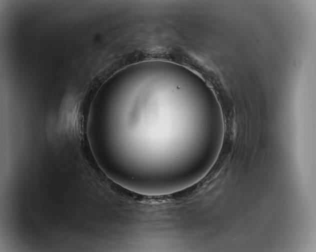 X0000090721301200707201339