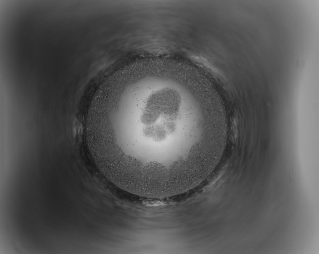 X0000090721302200707201339