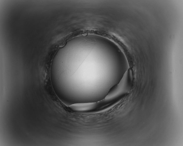 X0000090721303200707201339