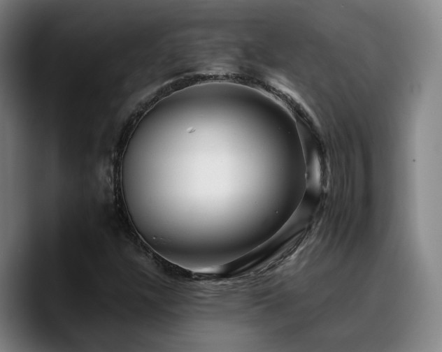 X0000090721304200707201339