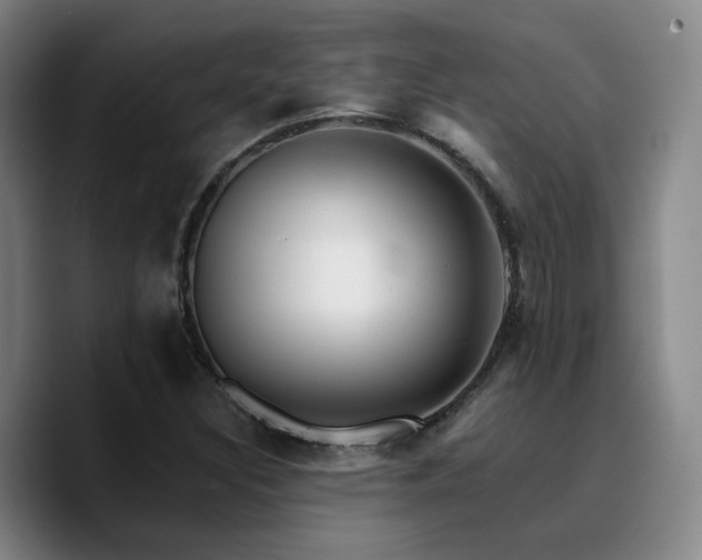 X0000090721308200707201340