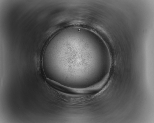 X0000090721313200707201340
