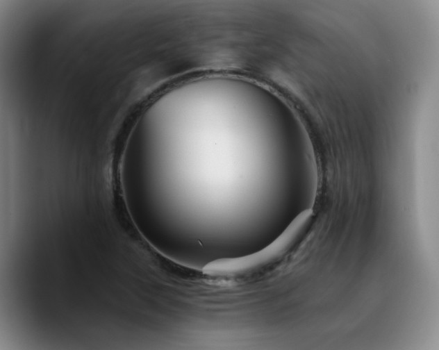 X0000090721315200707201340