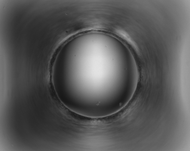 X0000090721316200707201340