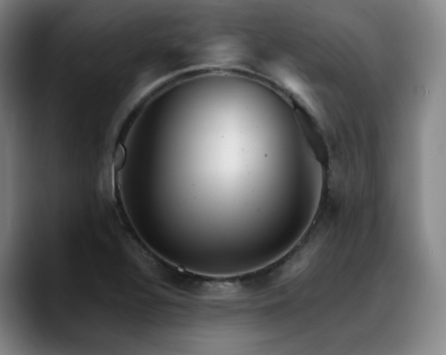 X0000090721320200707201340