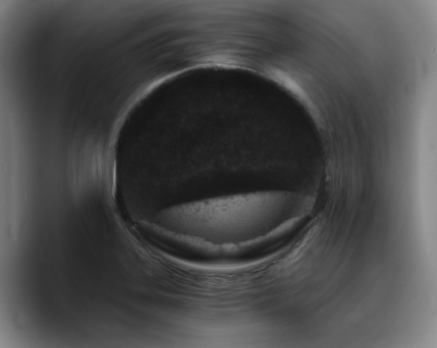 X0000090721323200707201340