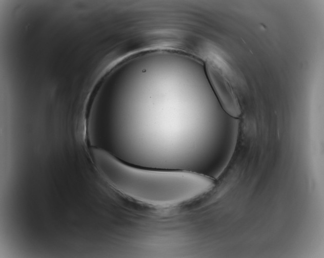 X0000090721324200707201340