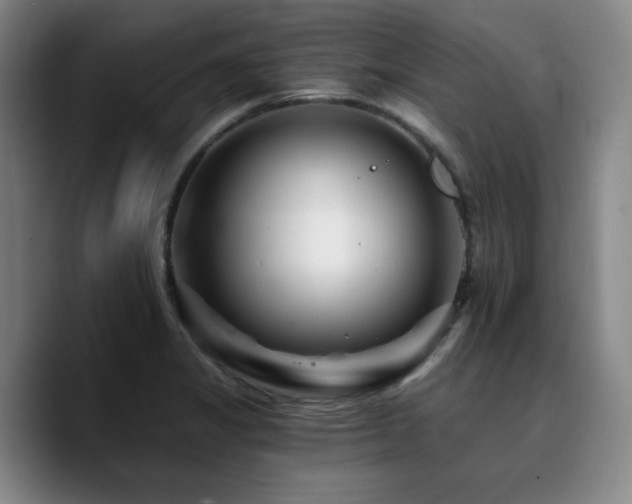 X0000090721325200707201340