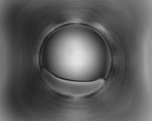 X0000090721326200707201340