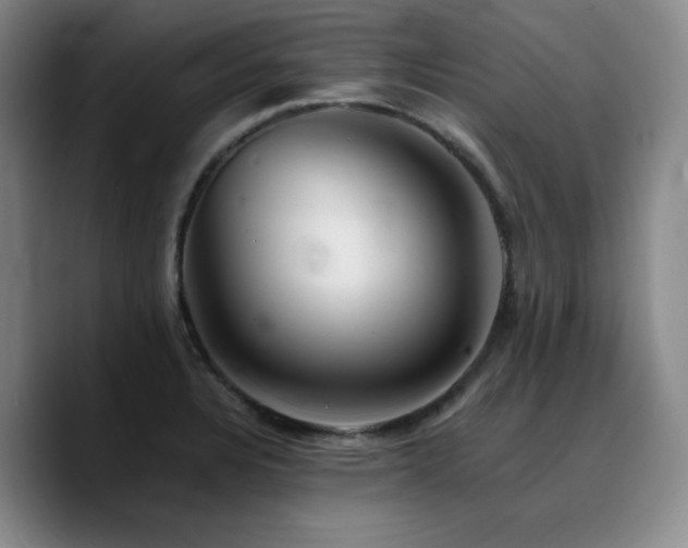 X0000090721328200707201340
