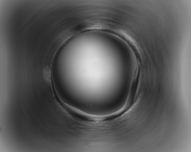 X0000090721329200707201340