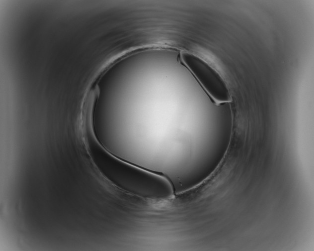 X0000090721332200707201340
