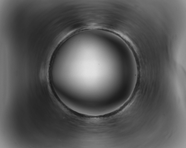 X0000090721333200707201340