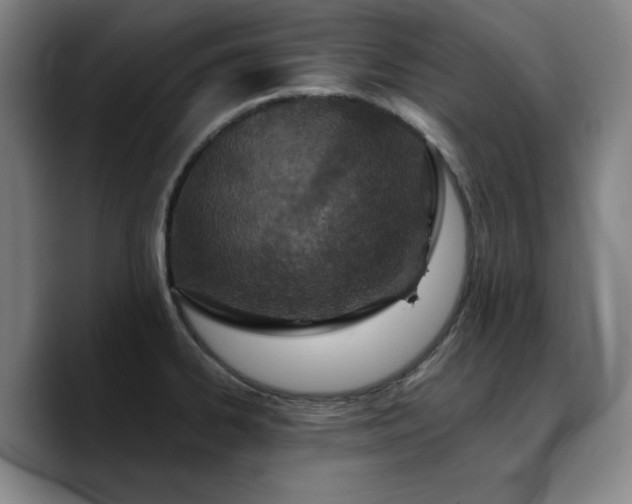 X0000090721334200707201340