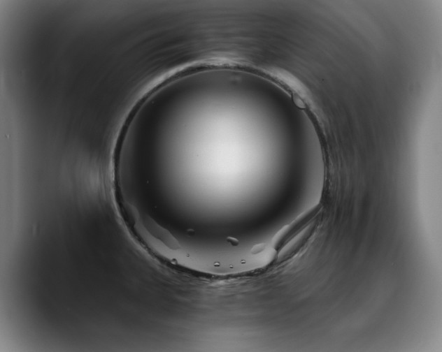 X0000090721335200707201340